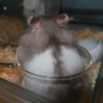 レイニーブログ